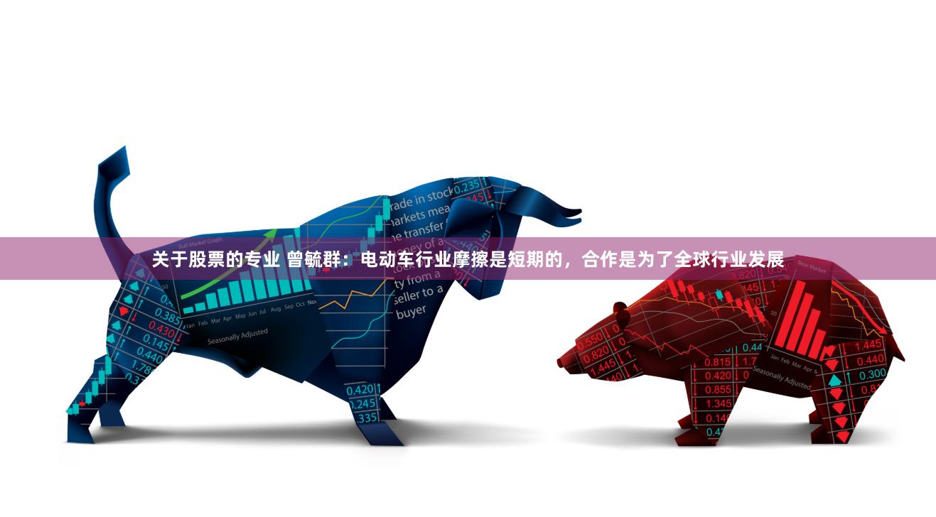 关于股票的专业 曾毓群：电动车行业摩擦是短期的，合作是为了全球行业发展