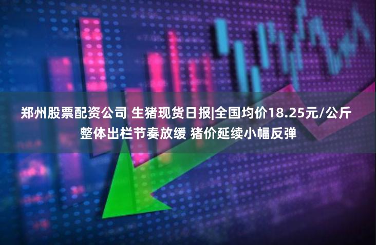 郑州股票配资公司 生猪现货日报|全国均价18.25元/公斤 整体出栏节奏放缓 猪价延续小幅反弹