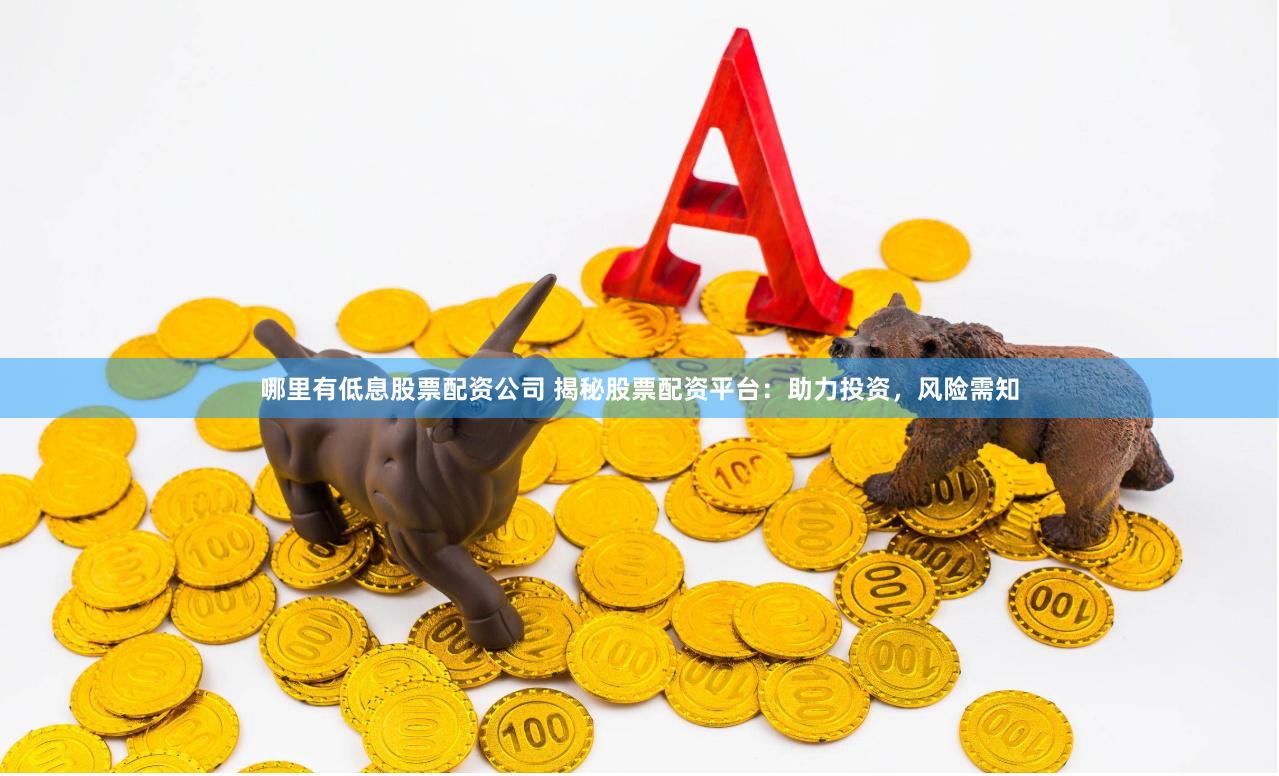 哪里有低息股票配资公司 揭秘股票配资平台：助力投资，风险需知