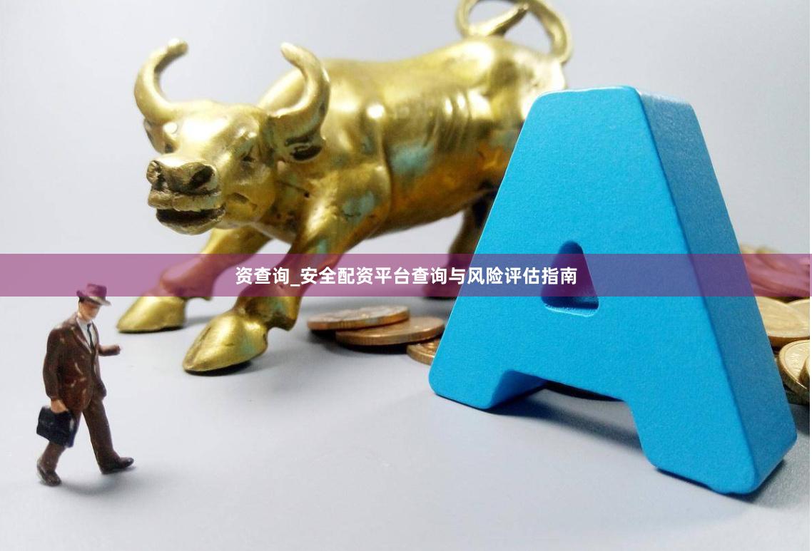 资查询_安全配资平台查询与风险评估指南